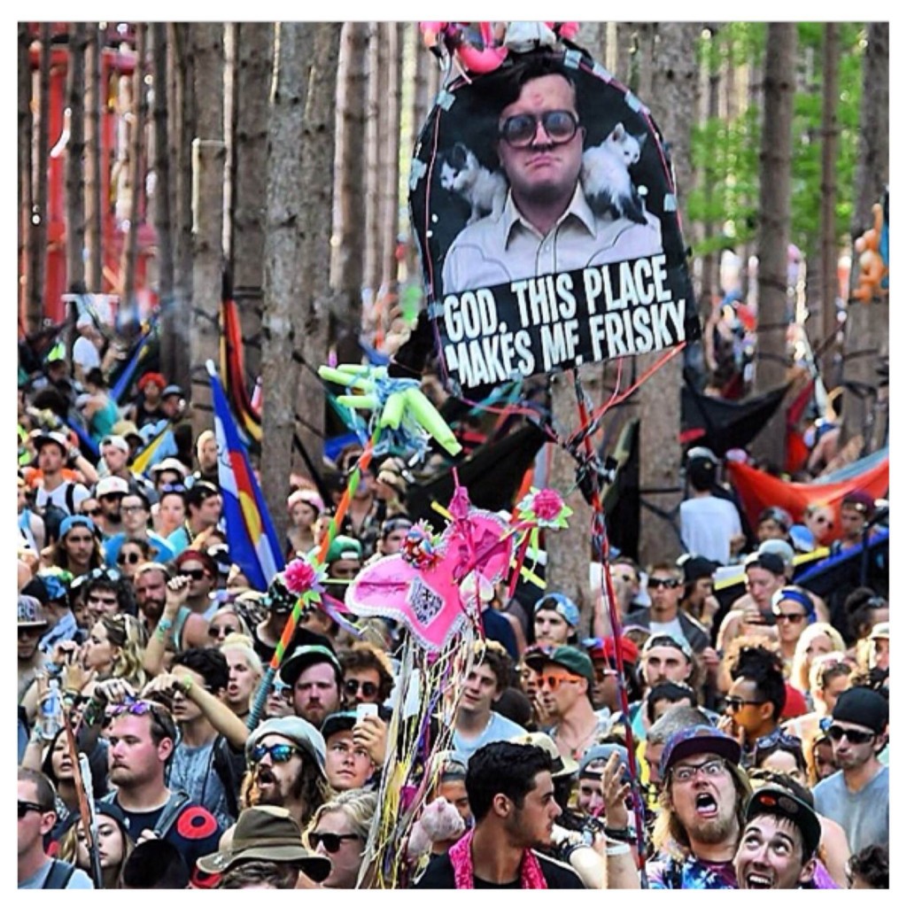 32 Of Our Favorite Totems From Electric Forest 2014 Electric Forest