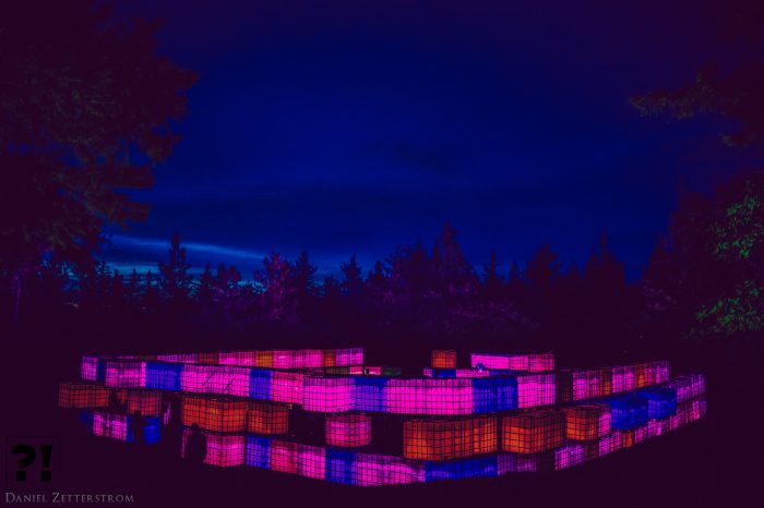 The Groove Qube Illuminates the Forest @ WTF